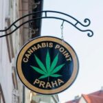 W Republice Czeskiej dążą do pełnej legalizacji produktów konopnych do 2023 roku. Chcą to zrobić w podobny sposób jak w Niemczech, gdzie dopracowywana jest ustawa o legalizacji marihuany dla celów rekreacyjnych. W tej chwili Czesi mają legalną marihuanę medyczną. Dużą popularnością cieszą się u nich także produkty konopne z większą zawartością THC niż w Polsce. W sklepach konopnych są dostępne nie tylko olejki CBD oraz susz konopny, ale także konopna czekolada i napoje.