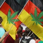 Zakup i posiadanie 20 gramów zioła ma być w Niemczech legalne. Tak wynika z dokumentów opracowanych w niemieckim ministerstwie zdrowia, do których dotarł portal RedaktionsNetzwerk Deutschland (RND). To efekt zapowiadanej nie od dziś legalizacji konopi indyjskich u naszych zachodnich sąsiadów.