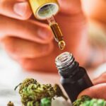 Około 20 proc. Polaków przynajmniej raz korzystało z produktów CBD, a ponad półtora miliona rodaków używa ich regularnie. Najczęstsze przyczyny sięgania po suplementy i inne produkty z konopi włóknistych są dolegliwości takie jak stres i problemy z zasypianiem – wynika z badań przeprowadzonych przez Kombinat Konopny.