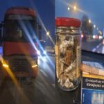 Swoją pracę wykonywał sumiennie i rzetelnie. Towar, 37 letni kierowca ciężarówki niemal zawsze dowoził na czas. Wiadomo, że ta praca to nie łatwy chleb, więc lubił sobie podczas podróży zajarać zioło. I to go w końcu zgubiło. Podczas postoju na pasie awaryjnym wrocławskiego odcinka autostrady A4 skontrolowali go policjanci. 37 latek akurat skończył jarać jointa.