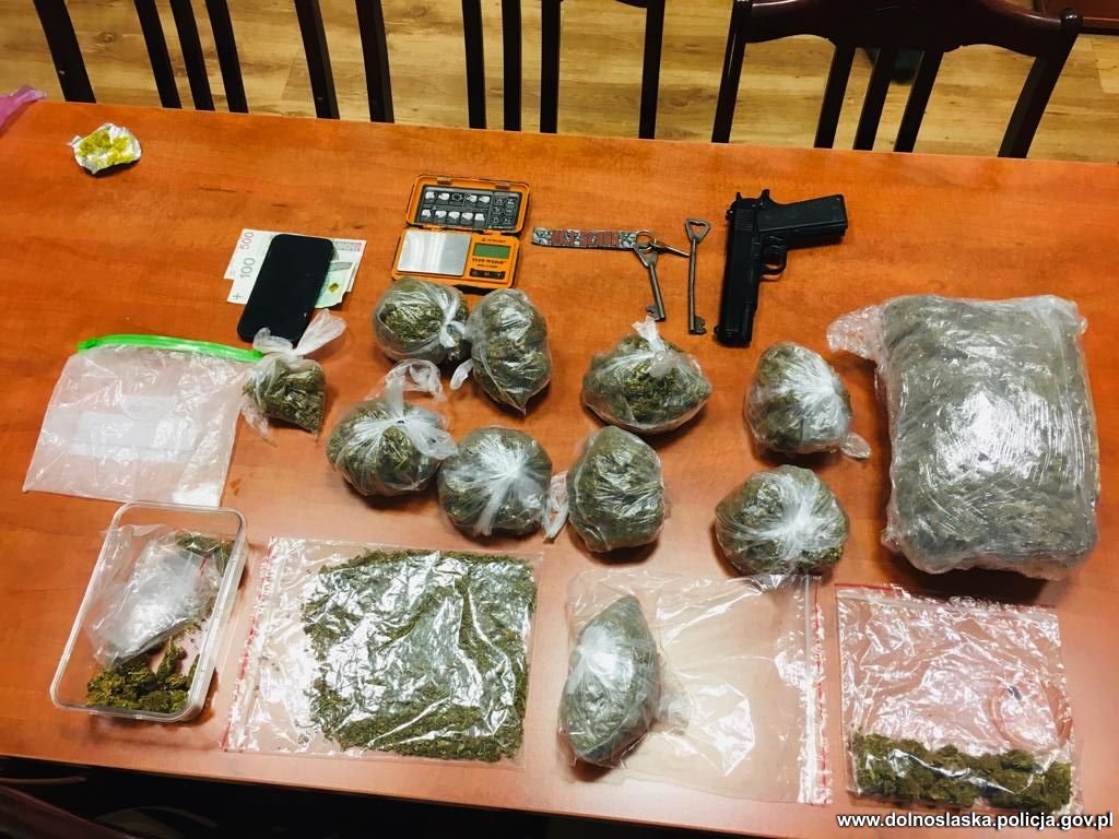 100 porcji marihuany miał 20 letni pseudokibic z Wrocławia. Fan futbolu został ujęty przez funkcjonariuszy Wydziału ds. Zwalczania Przestępczości Pseudokibiców Komendy Wojewódzkiej Policji we Wrocławiu. Zioło mundurowi znaleźli w mieszkaniu 20 latka oraz użytkowanym przez niego pomieszczeniu gospodarczym.