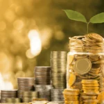 znani youtuberzy prowadzący biznes konopny