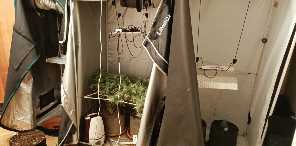 Zaniepokojony i czujny lokator, który wyczuł niepokojący zapach na klatce schodowej niezwłocznie zawiadomił policjantów. Mężczyzna myślał, że w budynku ulatnia się gaz. W rzeczywistości był to intensywny zapach domowej plantacji konopi indyjskich, w mieszkaniu sąsiadów. Całe zajście miało miejsce w jednym z budynków na warszawskim Żoliborzu.