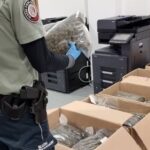 70 kilogramów marihuany o czarnorynkowej wartości ok. 3 mln zł. przewoził busem na opolskim odcinku autostrady A4 32 letni kierowca. Duża przesyłka z ziołem została nadana we Włoszech. Busa zatrzymali do kontroli funkcjonariusze Izby Administracji Skarbowej.