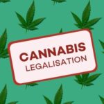 Legalizacja marihuany w Polsce to wciąż melodia przyszłości. Na razie wciąż funkcjonują zapisy ustawy o przeciwdziałaniu narkomanii i w efekcie uprawa konopi indyjskich na własny użytek, czy też do celów medycznych, jak również posiadanie nawet niedużych ilości konopi indyjskich jest zagrożone karą więzienia do lat trzech. Oczywiście w tej kwestii zaszły ostatnio drobne, ale jednak istotne zmiany.