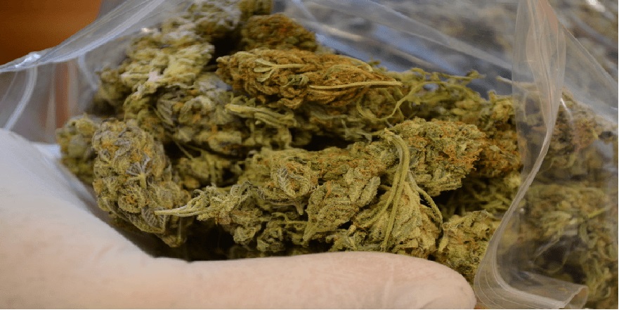 Byli showmanami sprzedającymi przez internet konopie indyjskie. Niestety to, że kręcili swój biznes w mediach społecznościowych przyczyniło się do ich zguby. Dwoma „artystami” Wirginii w USA zainteresowały się organy ścigania.