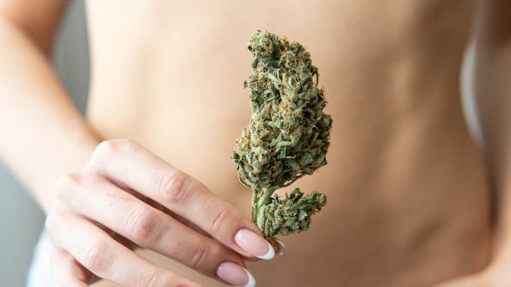 Jak marihuana wpływa na doznania seksualne? Czy zażywanie marihuany może wpłynąć na poprawę życia seksualnego? A może wpływ THC jest negatywny i obniża popęd seksualny? Na te pytania znajdziecie odpowiedzi w tym artykule.