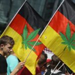 Wprawdzie bez kupowania jointów i czekolady z THC w sklepach, ale i tak będzie zajebiście. Niemiecki rząd ogłosił konkrety dotyczące zapowiadanej już od dawna legalizacji konopi indyjskich.