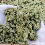 Po raz kolejny można się przekonać jak restrykcyjnie i drastycznie jest karane w niektórych krajach azjatyckich posiadanie konopi indyjskich. 46 letni Tangaraju Suppiah został skazany w Singapurze na powieszenie za przemyt marihuany z Malezji.