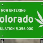Konopie indyjskie zalegalizowali jako pierwsi w USA. Od tego czasu minęło już 9 lat. Jaki wpływ miała legalizacja na stan Colorado? Warto zapoznać się z niektórymi częściami raportu stanowego Departamentu Bezpieczeństwa Publicznego.