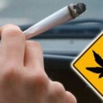 Jakie są konsekwencje prowadzenia pojazdu po użyciu alkoholu kierowcy zarówno w Niemczech, jak i w Polsce wiedzą dobrze. A jak jest w przypadku spożywania marihuany? W Polsce obecność THC jest wykrywana w organizmie kierowcy za pomocą narkotestów i wiąże się to z utratą prawa jazdy. A jak to wygląda w Niemczech?