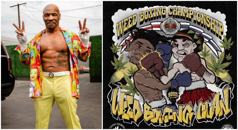 Zasady są bajecznie proste. Przed walką bokserską każdy z zawodników musi spalić jointa albo wypalić zioło z bonga. Takie nietypowe walki organizuje i promuje były mistrz wagi ciężkiej i konopny przedsiębiorca – Mike Tyson.