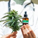 W USA to już specjalistyczna praktyka pielęgniarska z myślą o pacjentach wymagających terapii medyczną marihuaną. W Polsce z kolei jest przestrzeń, żeby tę profesję rozwinąć – potwierdza Przemysław Lahuta – prezes zarządu Cosma SA.