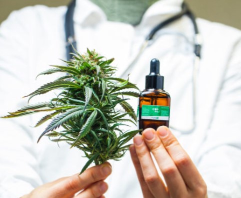 W USA to już specjalistyczna praktyka pielęgniarska z myślą o pacjentach wymagających terapii medyczną marihuaną. W Polsce z kolei jest przestrzeń, żeby tę profesję rozwinąć – potwierdza Przemysław Lahuta – prezes zarządu Cosma SA.